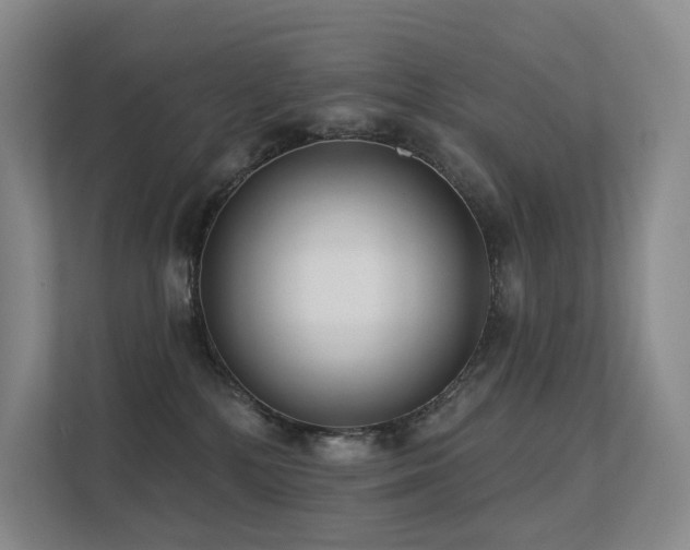 X0000113200232200909101118