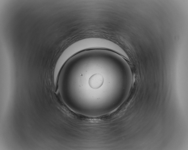 X0000113200233200909101118