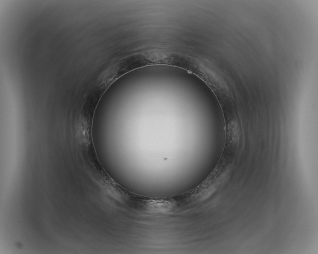 X0000113200234200909101118