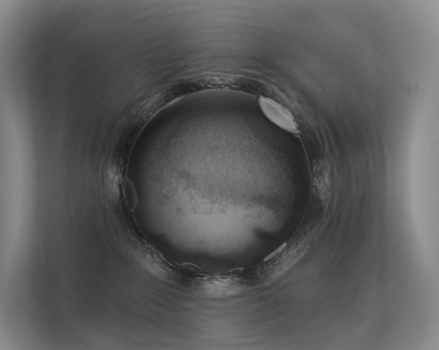 X0000113200235200909101118