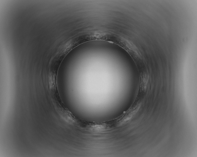 X0000113200236200909101118