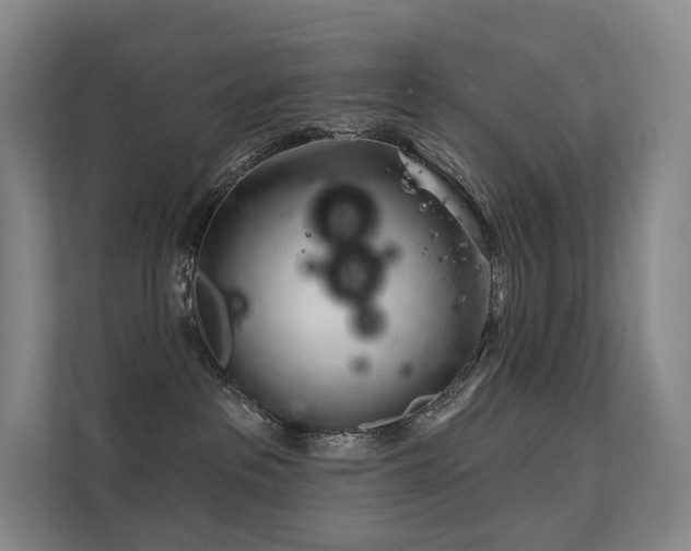 X0000113200237200909101118