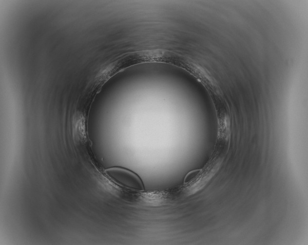 X0000113200238200909101118