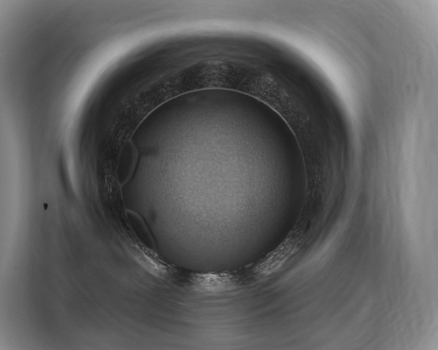 X0000113200239200909101118