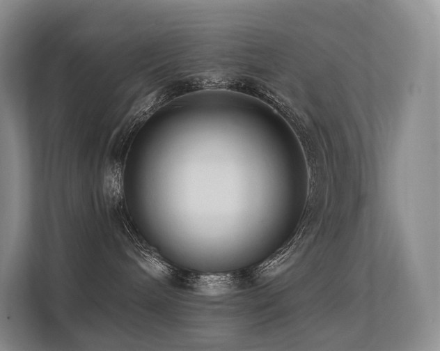 X0000113200240200909101118