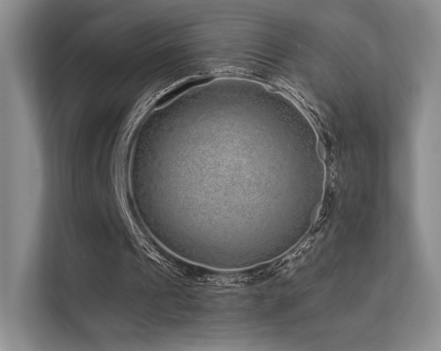 X0000113200241200909101117