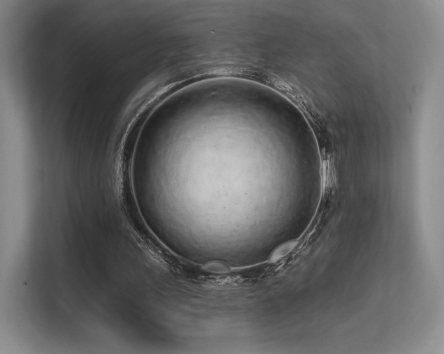 X0000113200243200909101117