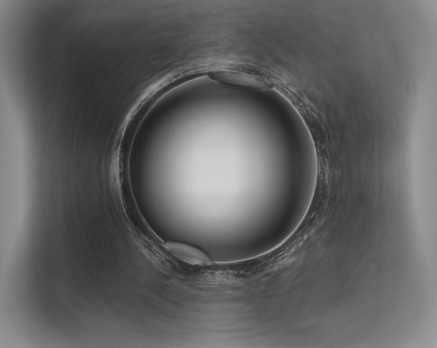 X0000113200244200909101117