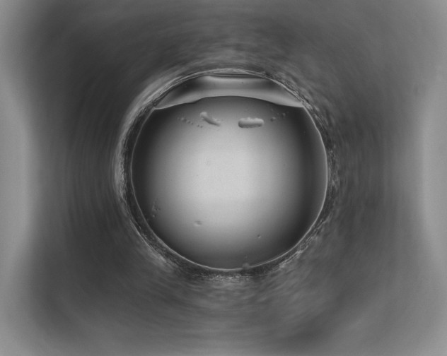 X0000113200245200909101117