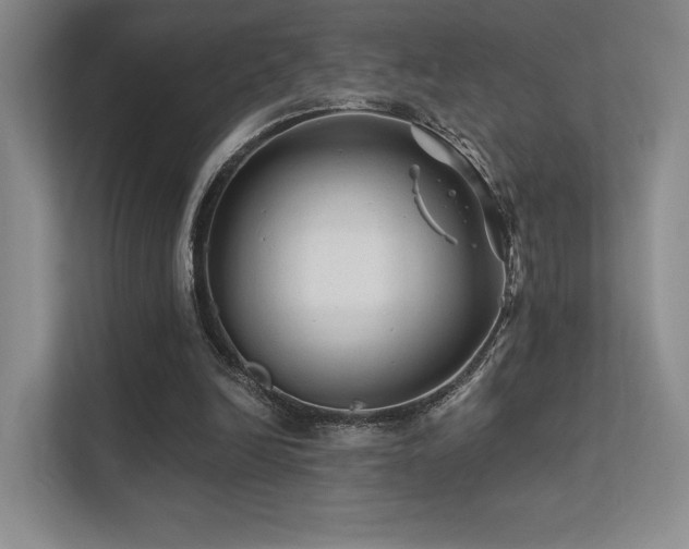 X0000113200246200909101117