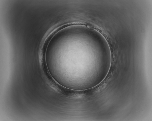 X0000113200247200909101117