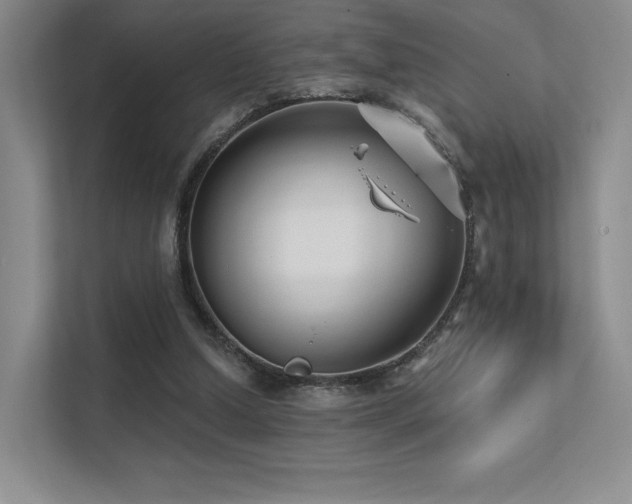 X0000113200250200909101117