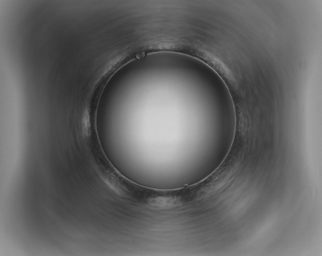 X0000113200251200909101117