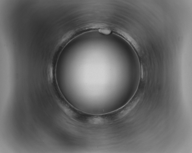 X0000113200253200909101117