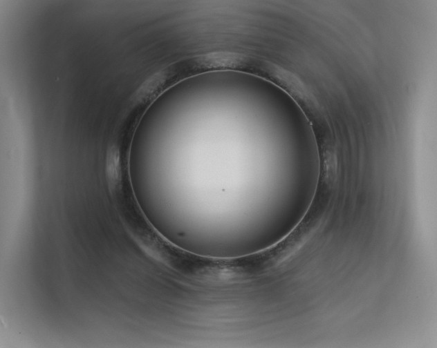 X0000113200254200909101117