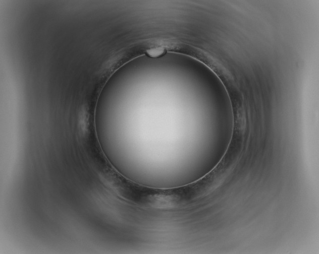 X0000113200255200909101117