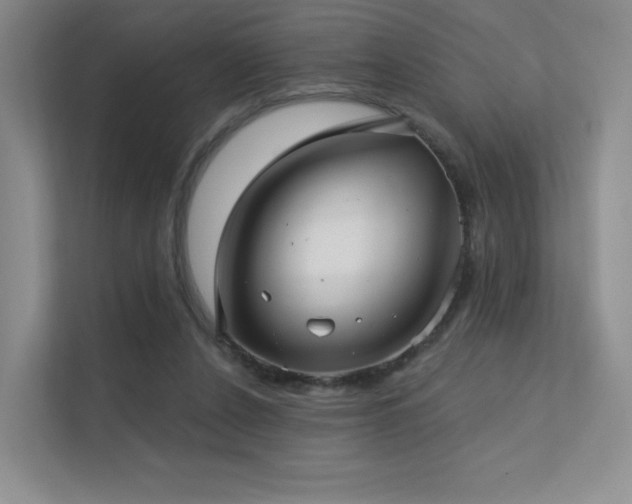 X0000113200256200909101118