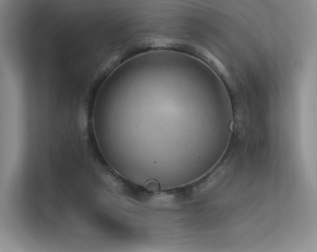 X0000113200257200909101118