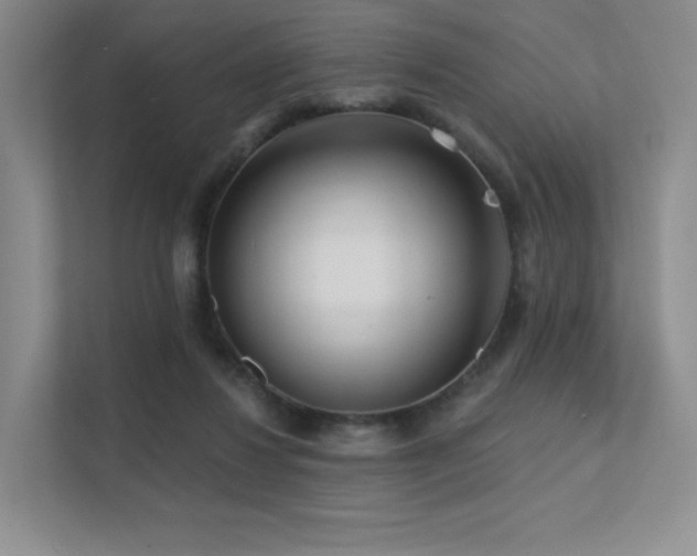 X0000113200260200909101118