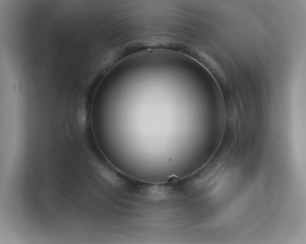 X0000113200261200909101118