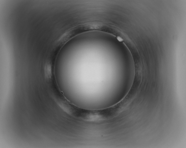 X0000113200262200909101118