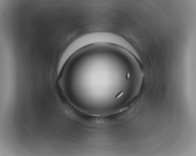 X0000113200264200909101118