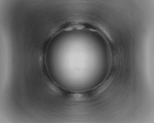 X0000113200265200909101118