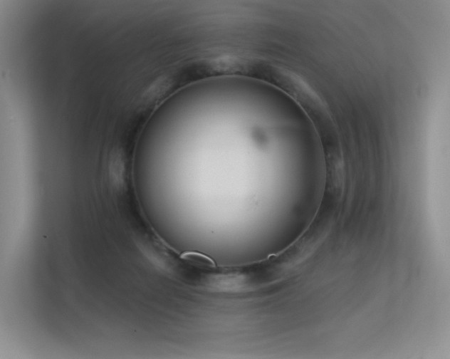 X0000113200266200909101118