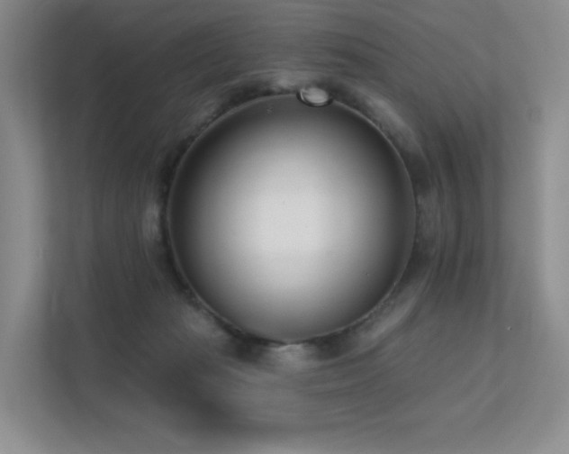 X0000113200269200909101118