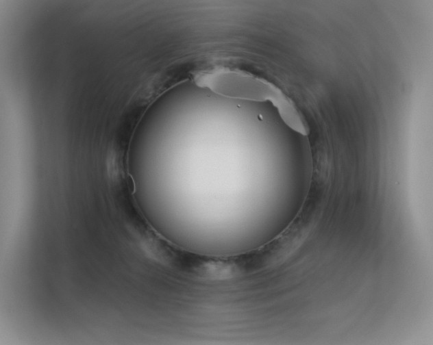 X0000113200272200909101118