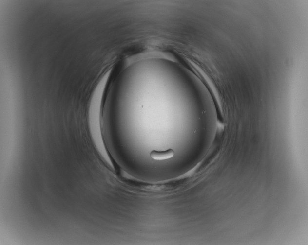 X0000113200273200909101118