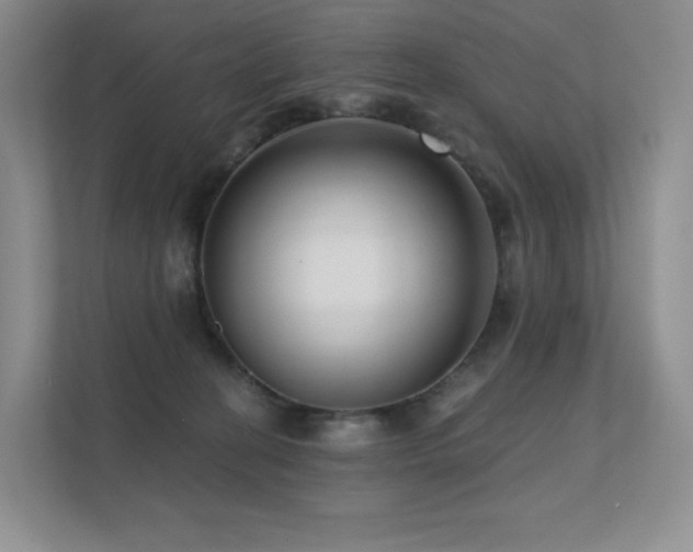 X0000113200274200909101118