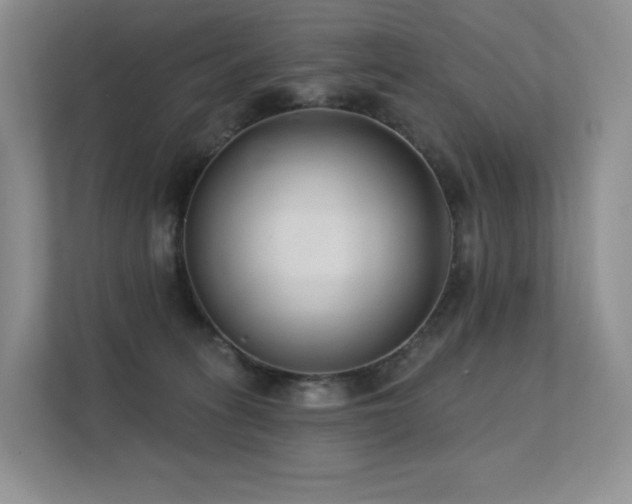 X0000113200275200909101118