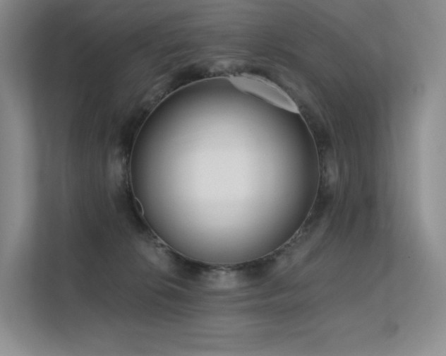 X0000113200276200909101118