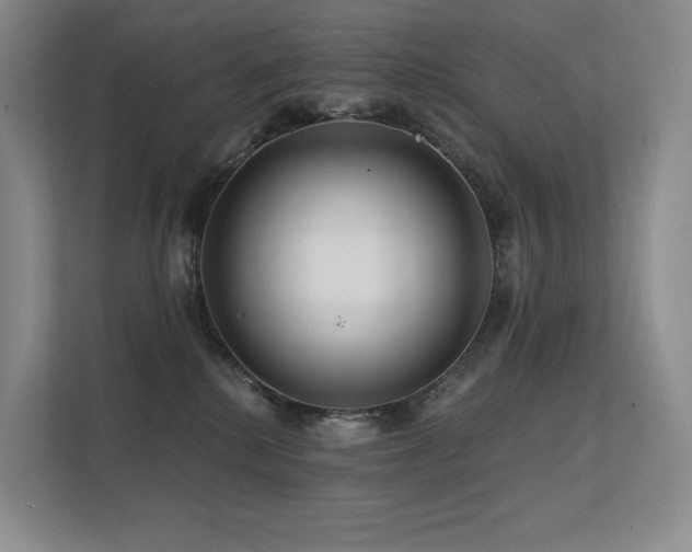 X0000113200280200909101118