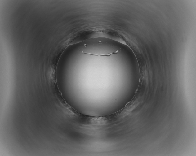 X0000113200281200909101118