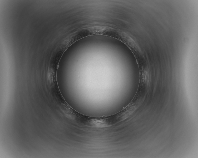 X0000113200283200909101118