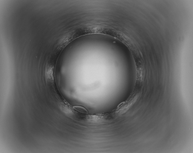 X0000113200286200909101118