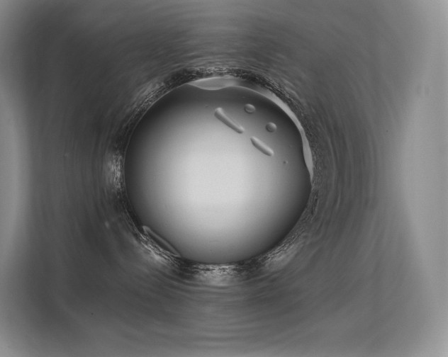 X0000113200288200909101118