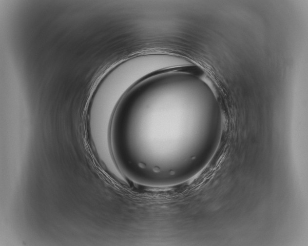 X0000113200289200909101117