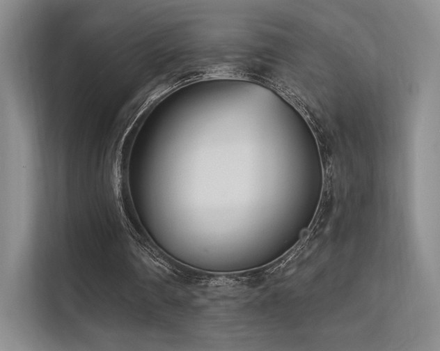 X0000113200290200909101117