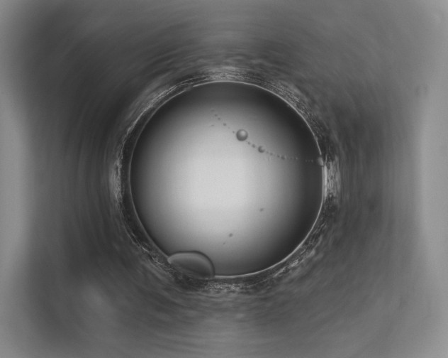 X0000113200291200909101117