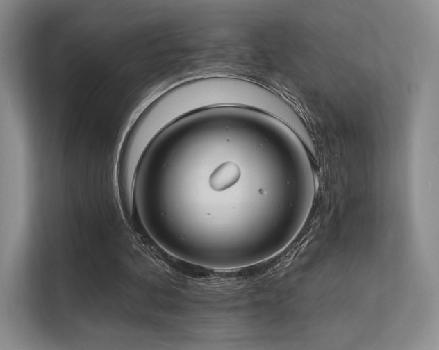 X0000113200292200909101117