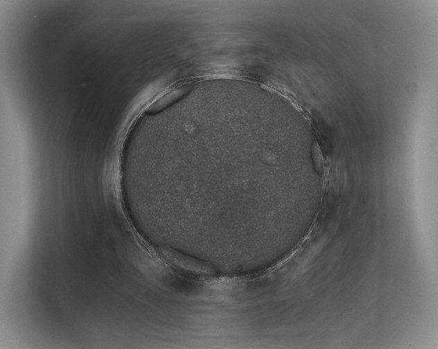 X0000113200293200909101117