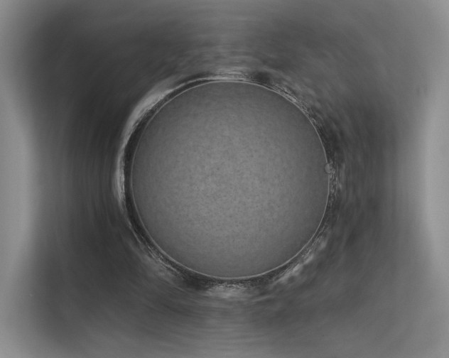 X0000113200294200909101117