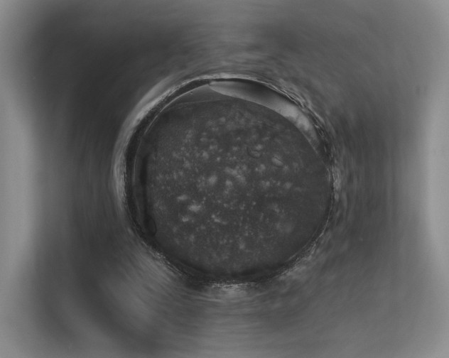 X0000113200295200909101117