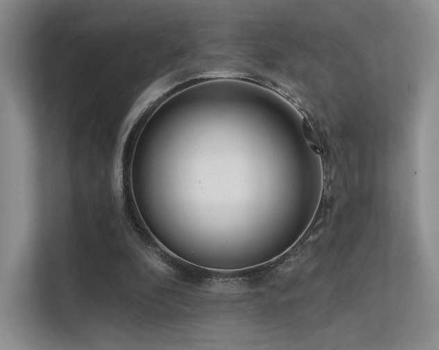 X0000113200296200909101117