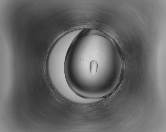 X0000113200297200909101117