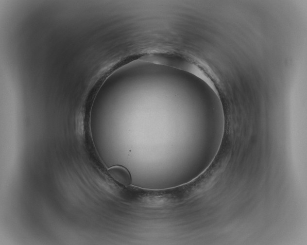 X0000113200299200909101117