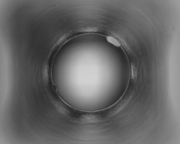 X0000113200300200909101117